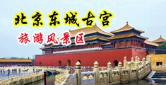 姑娘让我日你的逼吧视频中国北京-东城古宫旅游风景区